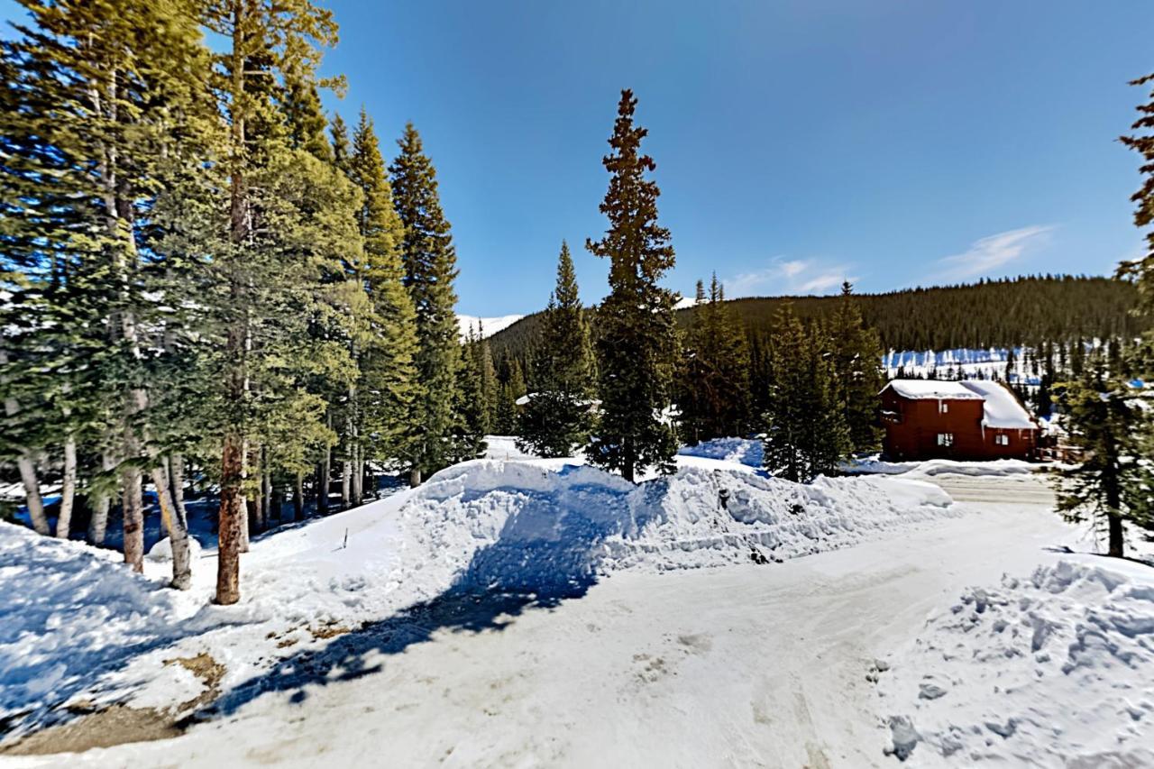 Little Bears Cabin Breckenridge Dış mekan fotoğraf